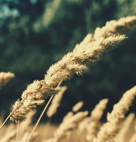 网络短信呼叫软件虚拟号码