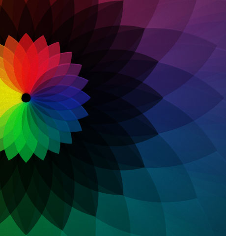 网络短信呼叫软件虚拟号码